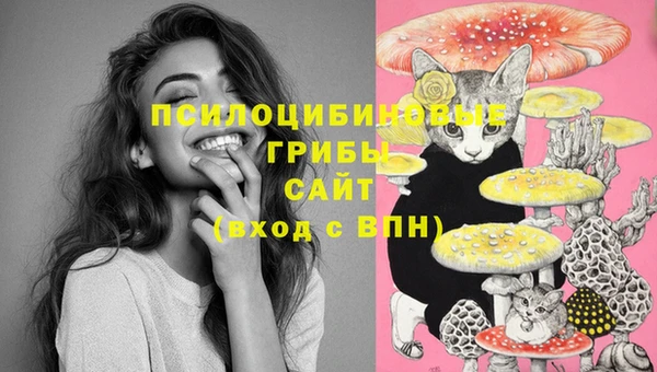 бошки Армянск