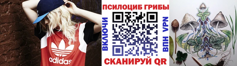 Псилоцибиновые грибы Psilocybine cubensis  гидра зеркало  Белебей  купить наркотик 